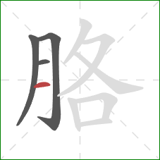 胳的笔顺第4画：横