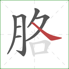 胳的笔顺第7画：捺