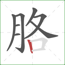 胳的笔顺第8画：竖