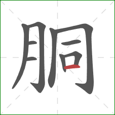 胴的笔顺第10画：横