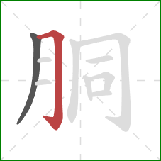 胴的笔顺第2画：横折钩