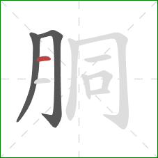 胴的笔顺第3画：横