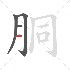 胴的笔顺第4画：横