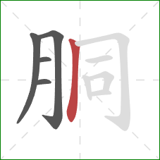 胴的笔顺第5画：竖