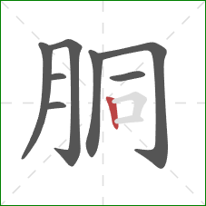 胴的笔顺第8画：竖