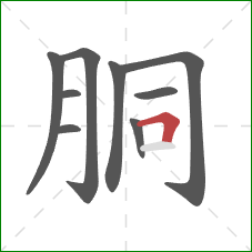 胴的笔顺第9画：横折