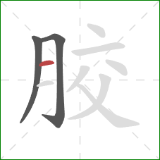 胶的笔顺第3画：横