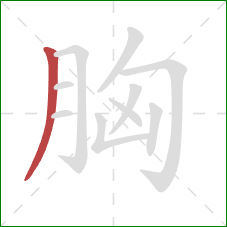 胸的笔顺第1画：撇