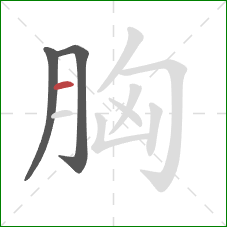 胸的笔顺第3画：横