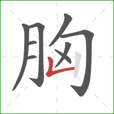 胸的笔顺第9画：竖折