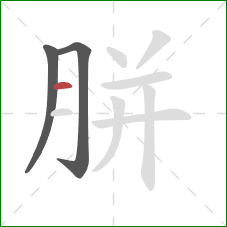 胼的笔顺第3画：横