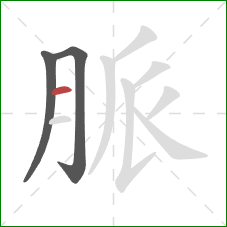 脈的笔顺第3画：横