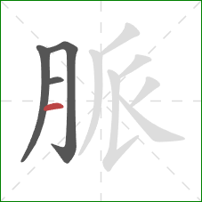 脈的笔顺第4画：横