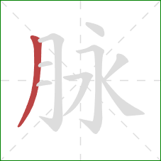 脉的笔顺第1画：撇