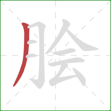 脍的笔顺第1画：撇