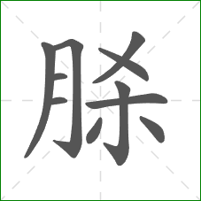 脎的笔顺