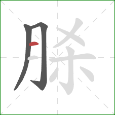 脎的笔顺第3画：横