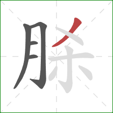 脎的笔顺第5画：撇