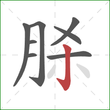 脎的笔顺第8画：竖钩