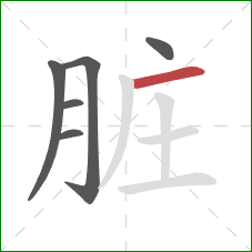 脏的笔顺第6画：横