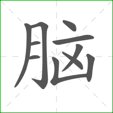 脑的笔顺 脑的笔顺