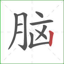 脑的笔顺第10画:竖 脑的笔顺第10画:竖