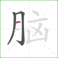 脑的笔顺第3画:横 脑的笔顺第3画:横