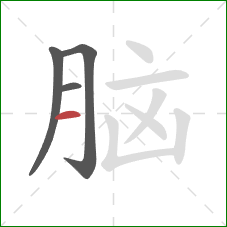 脑的笔顺第4画:横 脑的笔顺第4画:横