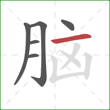 脑的笔顺第6画:横 脑的笔顺第6画:横