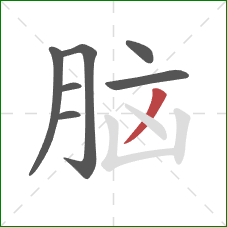 脑的笔顺第7画:撇 脑的笔顺第7画:撇