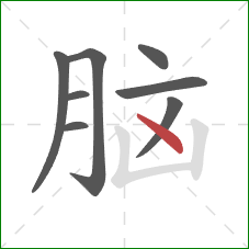 脑的笔顺第8画:点 脑的笔顺第8画:点