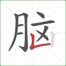 脑的笔顺第9画:竖折 脑的笔顺第9画:竖折