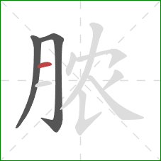 脓的笔顺第3画：横