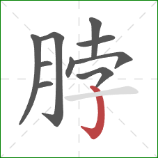 脖的笔顺第10画：竖钩