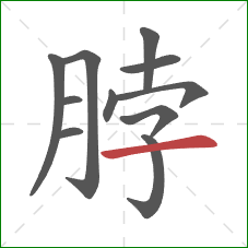 脖的笔顺第11画：横