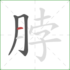 脖的笔顺第3画：横