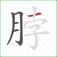 脖的笔顺第5画：横