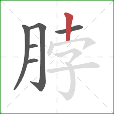 脖的笔顺第6画：竖