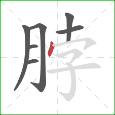 脖的笔顺第7画：点