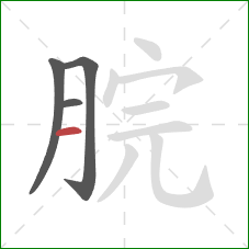 脘的笔顺第4画：横