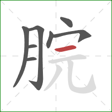 脘的笔顺第8画：横