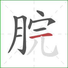 脘的笔顺第9画：横