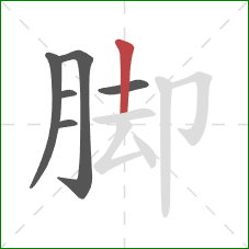 脚的笔顺第6画：竖