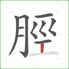 脛的笔顺第10画：竖