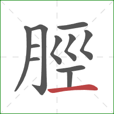 脛的笔顺第11画：横