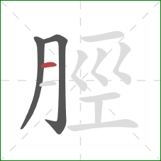 脛的笔顺第3画：横