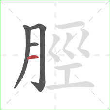 脛的笔顺第4画：横