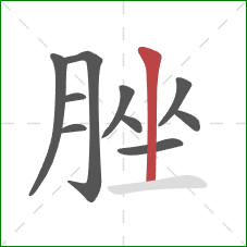 脞的笔顺第10画：竖