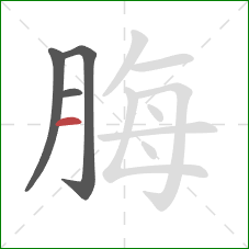 脢的笔顺第4画：横