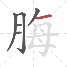 脢的笔顺第6画：横